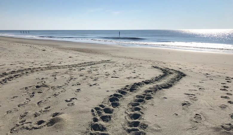 Debordieu Beach Creek Retreat - Georgetown, South Carolina