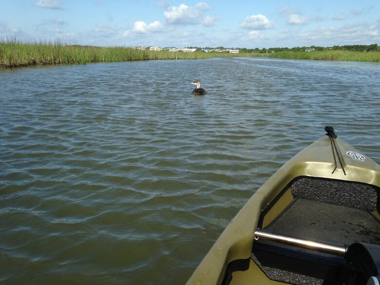 Debordieu Beach Creek Retreat - Georgetown, South Carolina