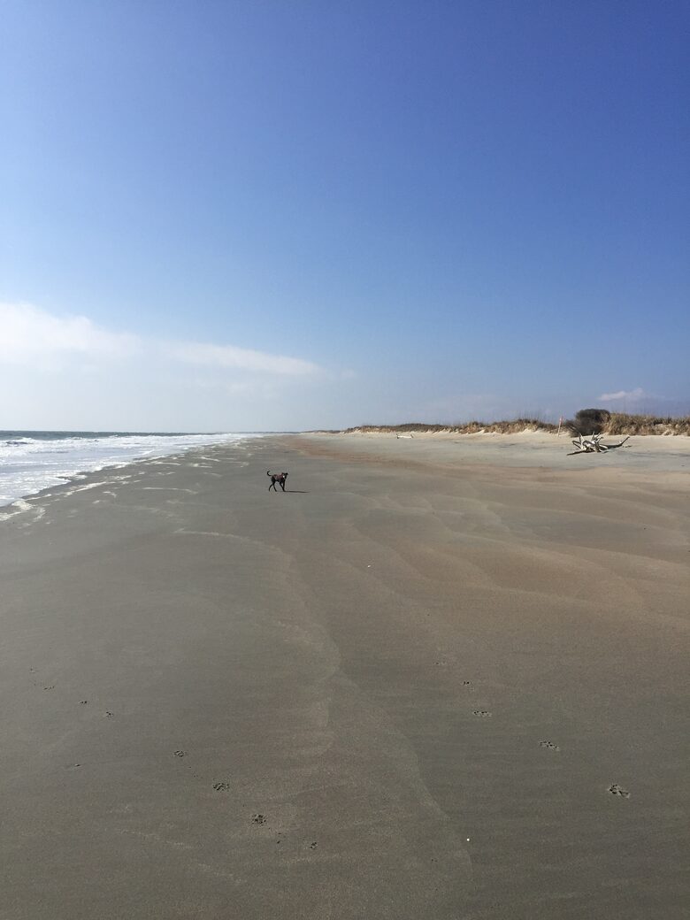 Debordieu Beach Creek Retreat - Georgetown, South Carolina