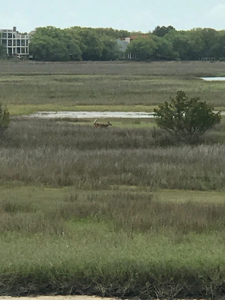 Debordieu Beach Creek Retreat - Georgetown, South Carolina