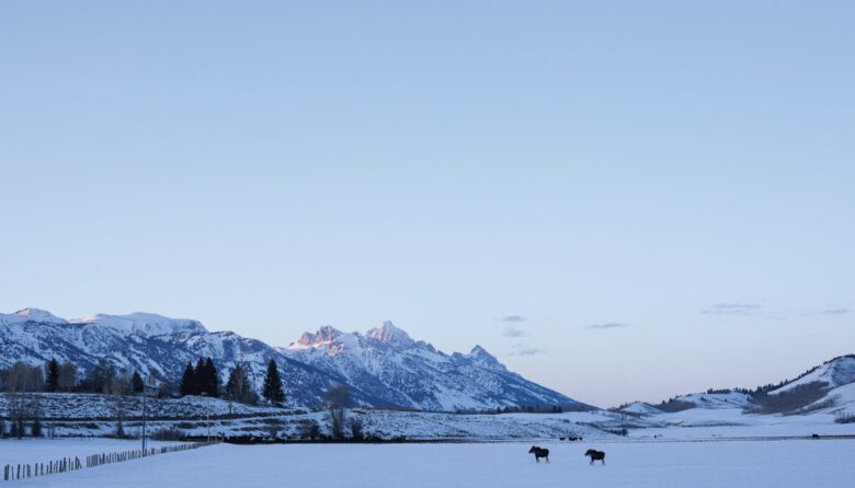 Four Seasons Jackson Hole - Three-Bedroom Resort Residence - Jackson Hole, Wyoming