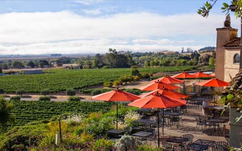 Sonoma Plaza Modern Living - Sonoma, California