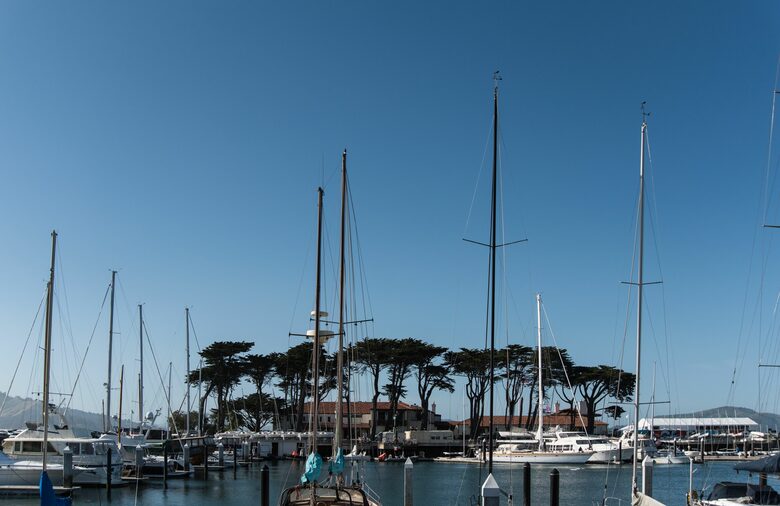 Marina Muse - San Francisco, California
