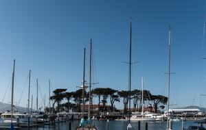 Marina Muse - San Francisco, California