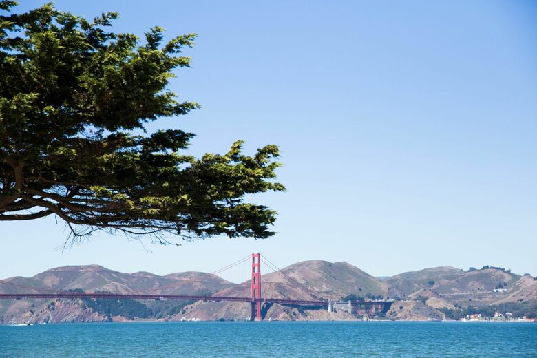 Marina Muse - San Francisco, California