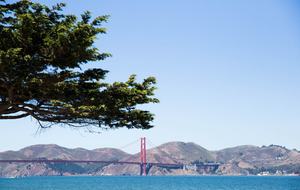 Marina Muse - San Francisco, California