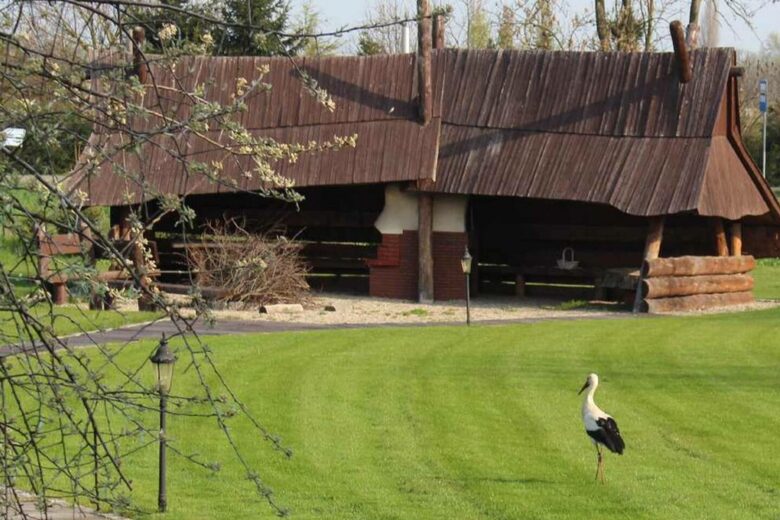 LedowoHouse Vintage with own Golf Course and Pool - Ledowo, Poland