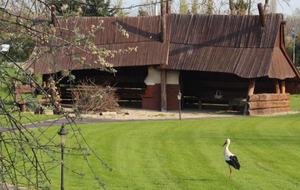 LedowoHouse Vintage with own Golf Course and Pool - Ledowo, Poland