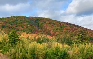 Gore Mountain, Adirondacks - North Creek, New York