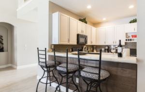 Disney 9 Bedroom Lakeside Villa - Kissimmee, Florida