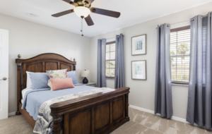 Disney 9 Bedroom Lakeside Villa - Kissimmee, Florida