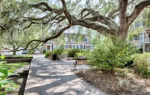 Savannah Haven - Savannah, Georgia