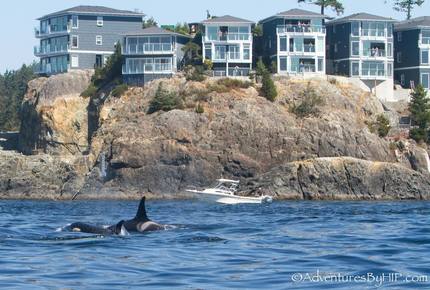 SookePoint 2-Bedroom Ocean Cottage - Sooke, Canada