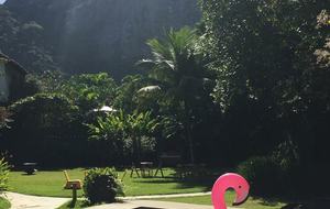 Stunning Mountainside Home in Rio - Rio de Janeiro, Brazil