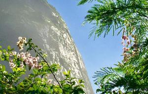 Stunning Mountainside Home in Rio - Rio de Janeiro, Brazil