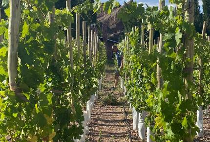 Mountain Luxury Ranch with private vineyards - Uspallata, Argentina