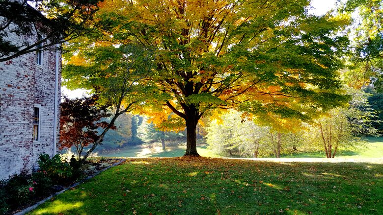 Luxury Berkshire Country Estate on 21 Acres - Pittsfield, Massachusetts