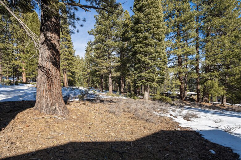 Lavish & Modern Alpine Escape | Near Golf & Skiing - Truckee, California