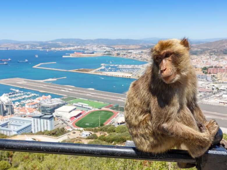 Superyacht experience at Sunborn Gibraltar 5* Yacht Hotel - Gibraltar, Gibraltar