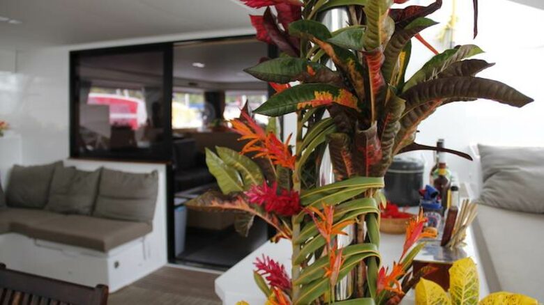 All-Inclusive 7-night TradeWinds AQUA Experience in British Virgin Islands on TW60 Catamaran with Crew - Tortola, Virgin Islands, British