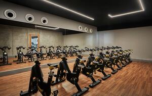 Viceroy Los Cabos - Three Bedroom Penthouse - San Jose del Cabo, Mexico
