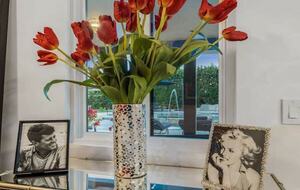 The Estate - Palm Springs **Splash House Weekends Available** - Palm Springs, California