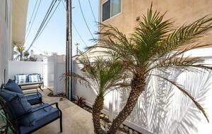 Intercambio de casas en Oxnard (California), patio privado con una palmera