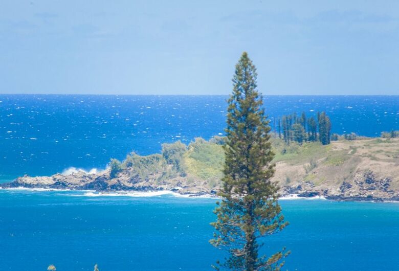View of Honolua Bay