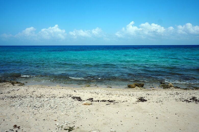 Cozumel has the most beautiful blues!