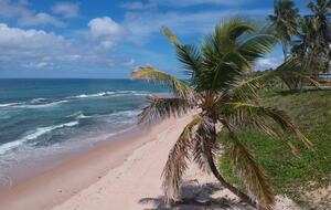 Heaven on the Beach - Mata de São João, Brazil