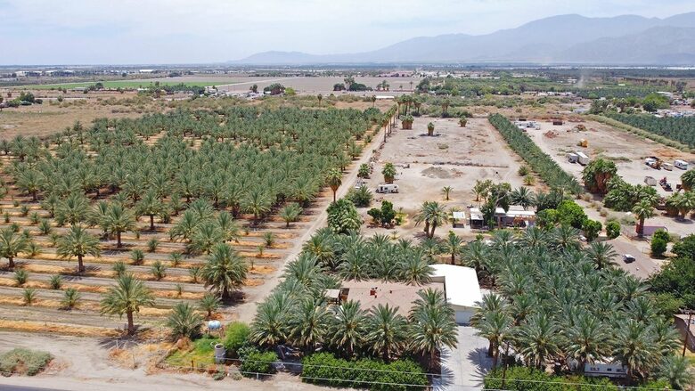 DateFarm 54 - Private and Gated, Central to Polo and Horse Park - Thermal, California