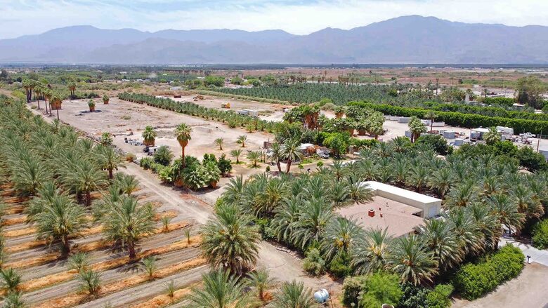 DateFarm 54 - Private and Gated, Central to Polo and Horse Park - Thermal, California