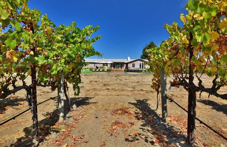 Napa Valley Wine Country Retreat with Pool & Pickleball Court - Napa, California