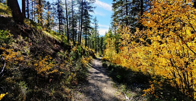 Kimberley Nature Park trails
