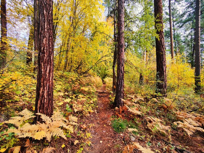 Kimberley Nature Park trails