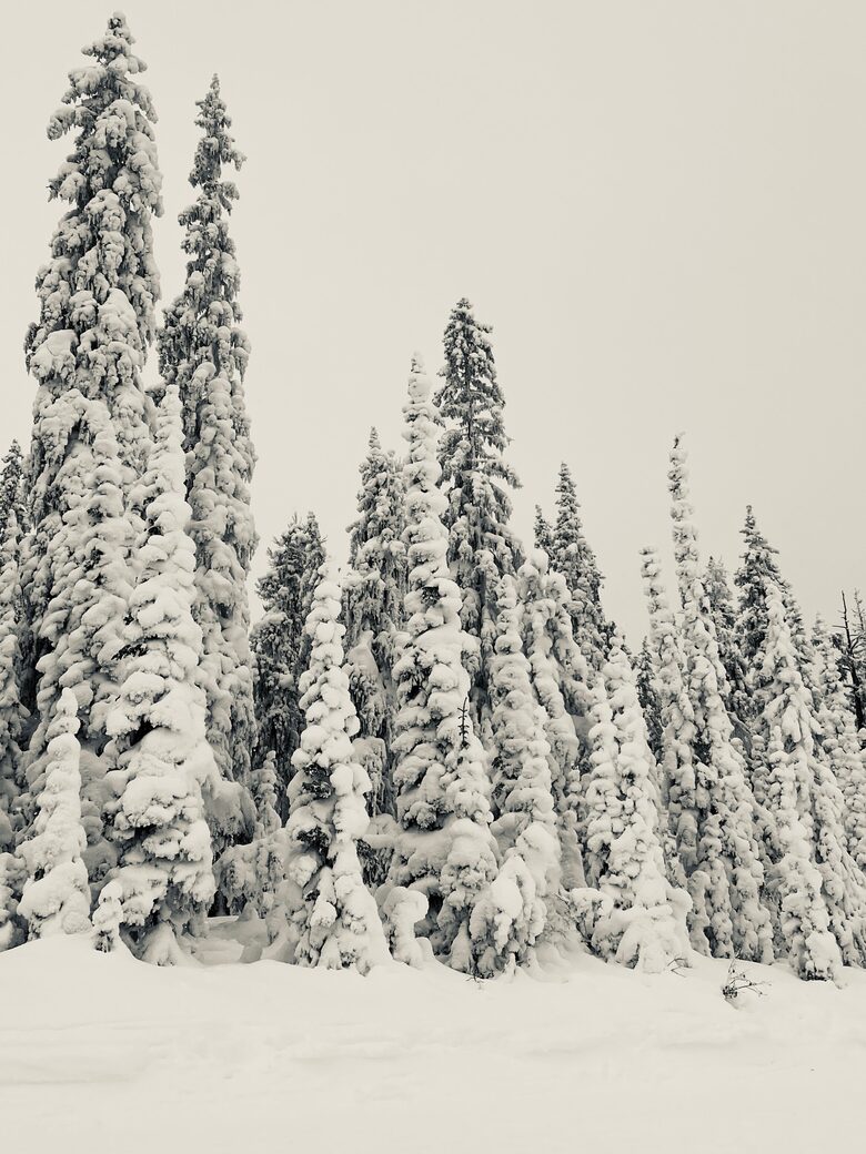 “Snow Ghosts” at Kimberley Alpine Resort