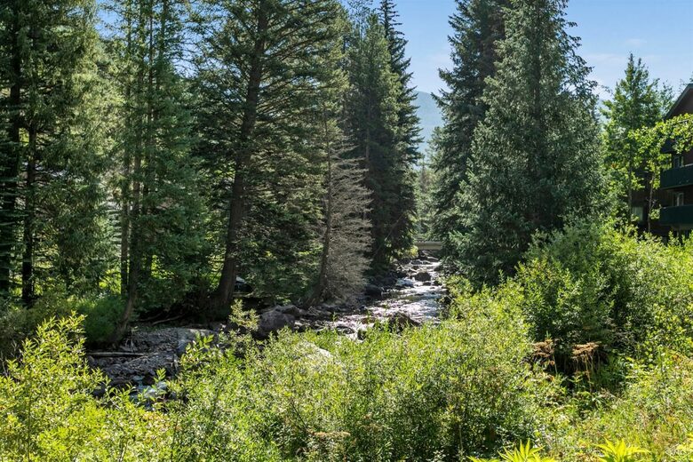 Gore Creek runs through the property
