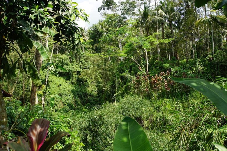 Villa Pangkung Indah - Ubud, Indonesia