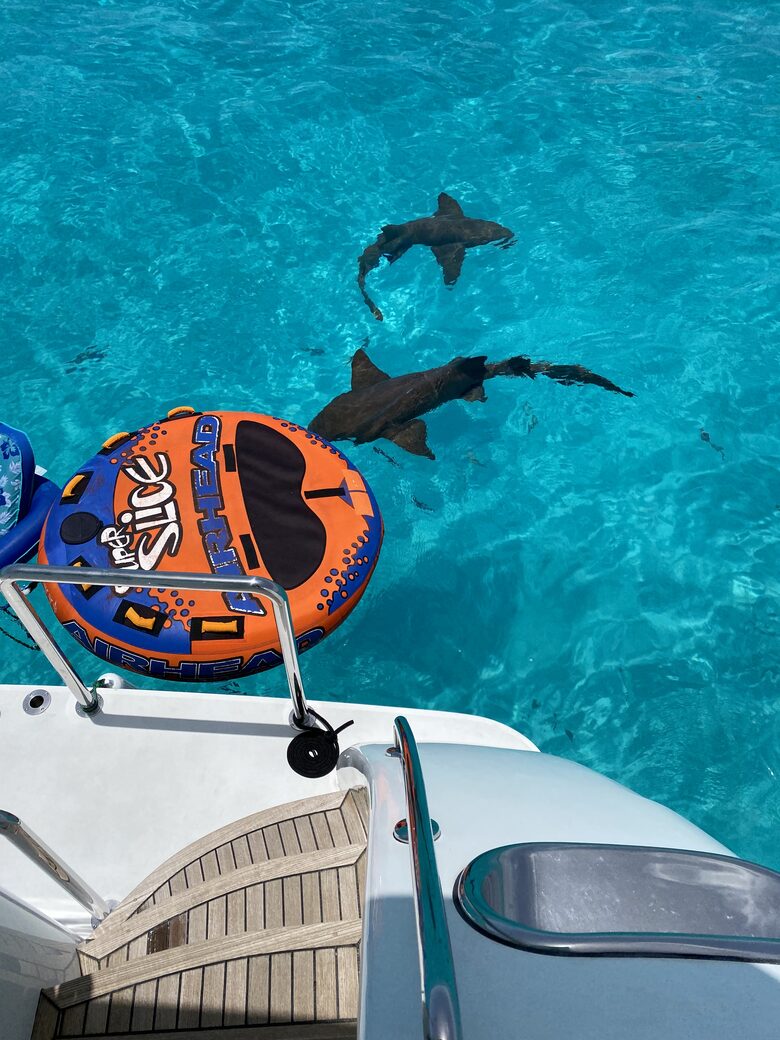 Hargrave - 80-Foot Yacht "Perfect Sense" - Nassau, Bahamas