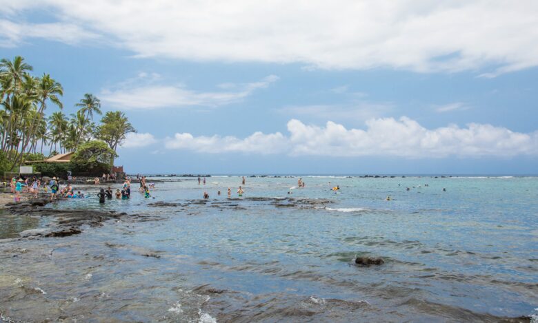 Beach and snorkeling steps away
