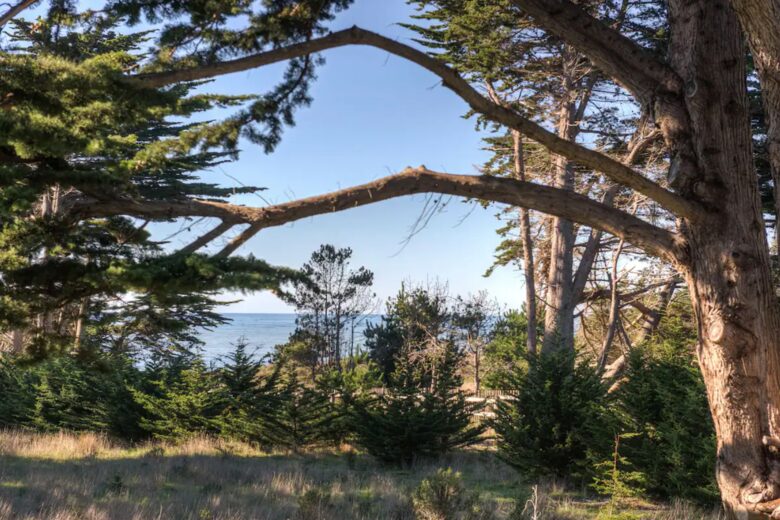 Ocean views