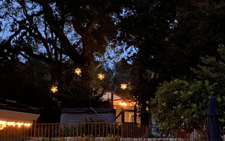 Backyard at night