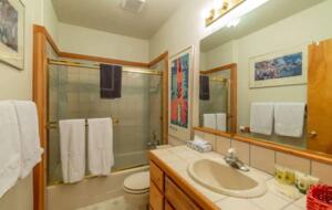 Home Exchange in Truckee, CA, guest bathroom #3