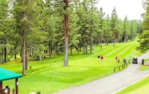 Home Exchange in Truckee, CA, Tahoe Donner golf