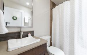 Guest bathroom