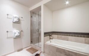 Master bathroom with walk-in shower and tub