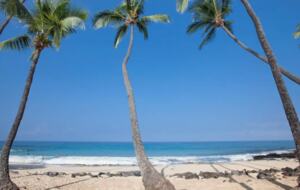 Nearby beach