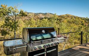 Outdoor grill