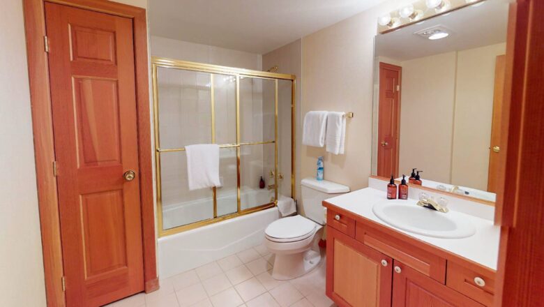 Guest bathroom