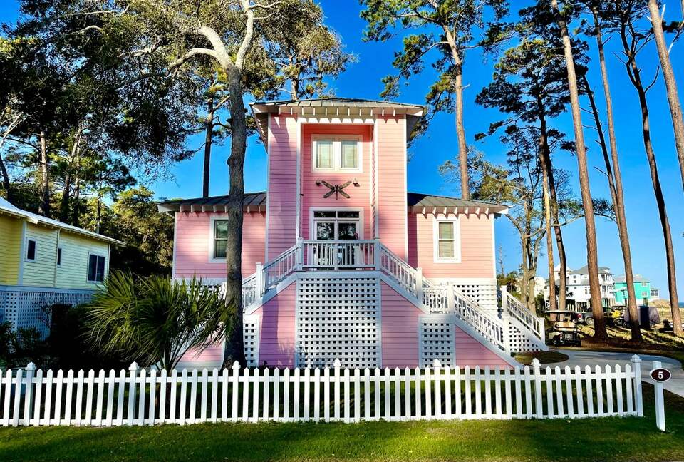 Seaside Flamingo - Daufuskie Island, South Carolina